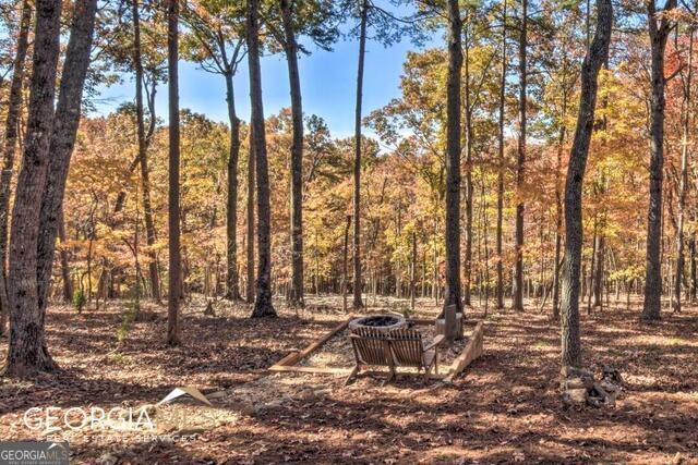 187 Hayden Way Drive Morganton GA 30560