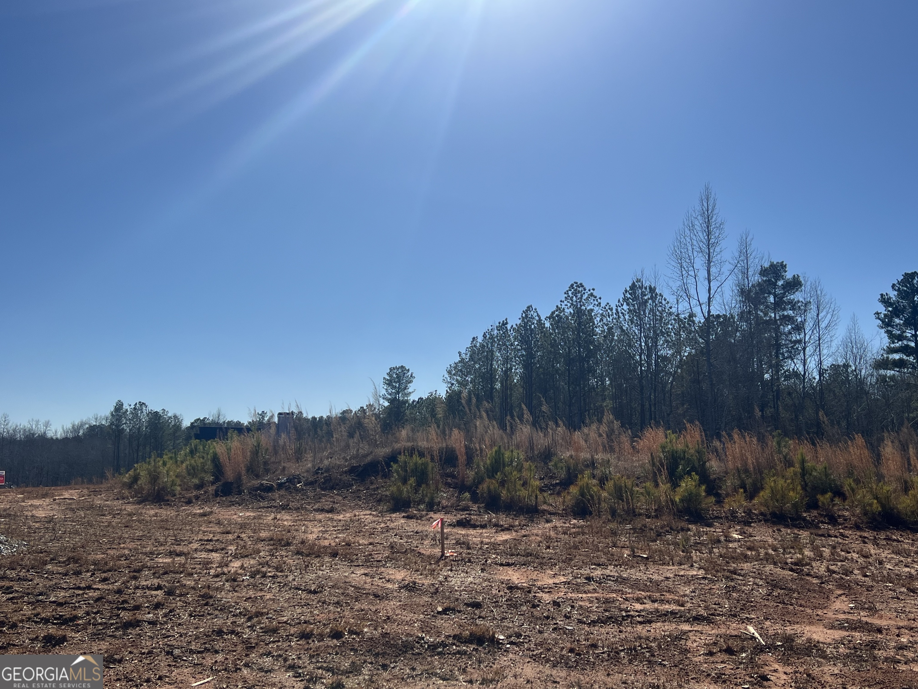Lot 21 Piney Wood Drive Newnan GA 30263