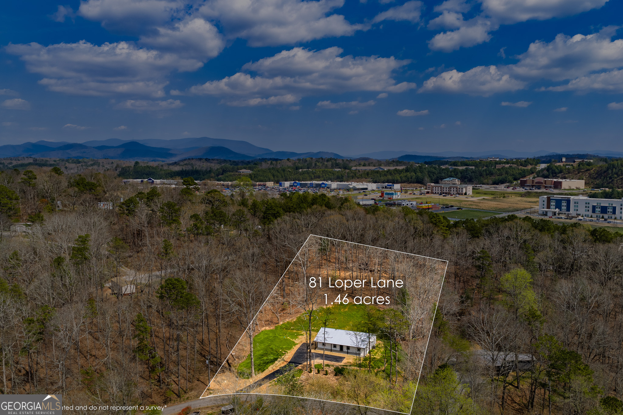 81 Loper Lane Ellijay GA 30536