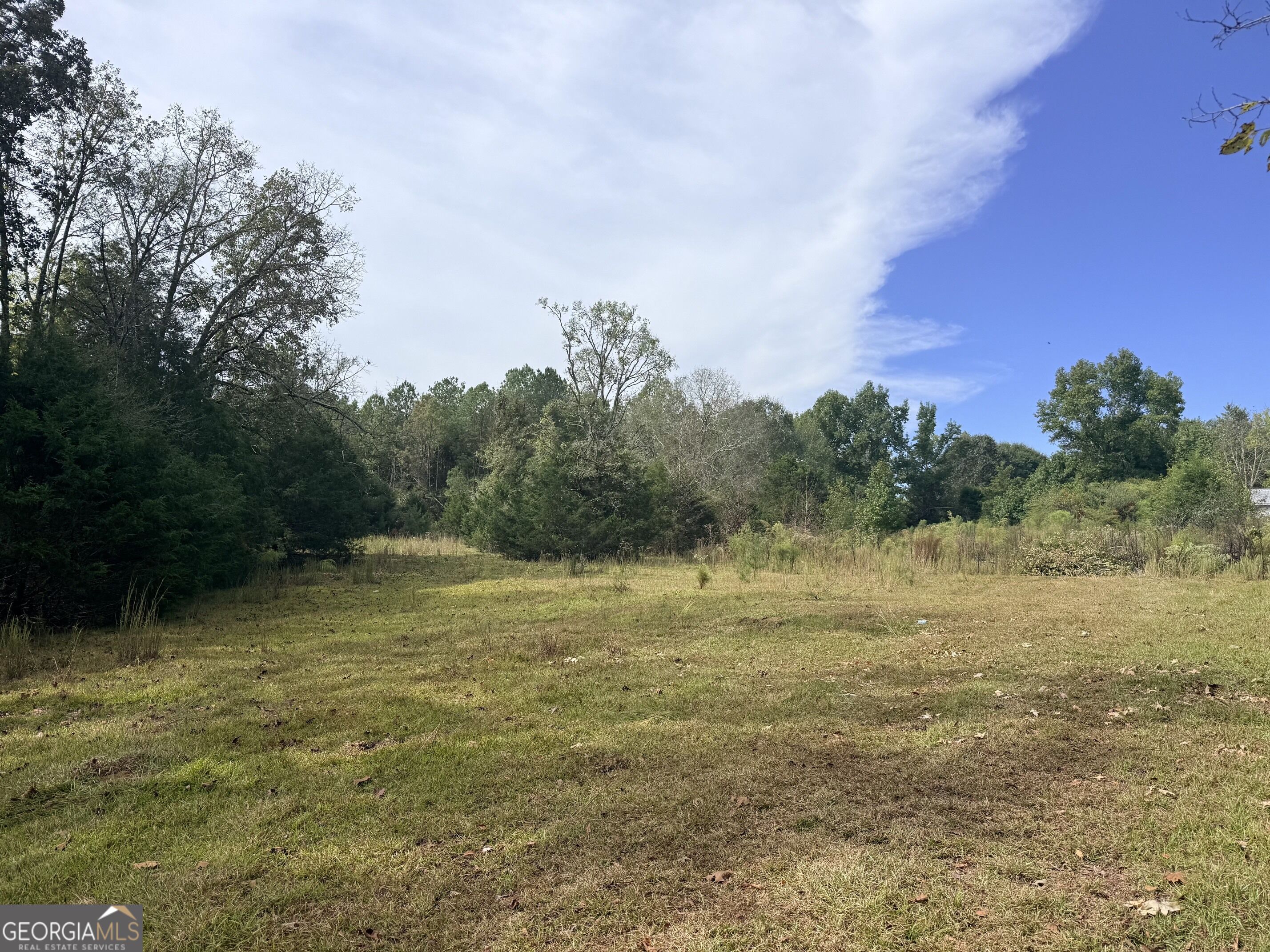 1050 Scott Branch Road Williamson GA 30292