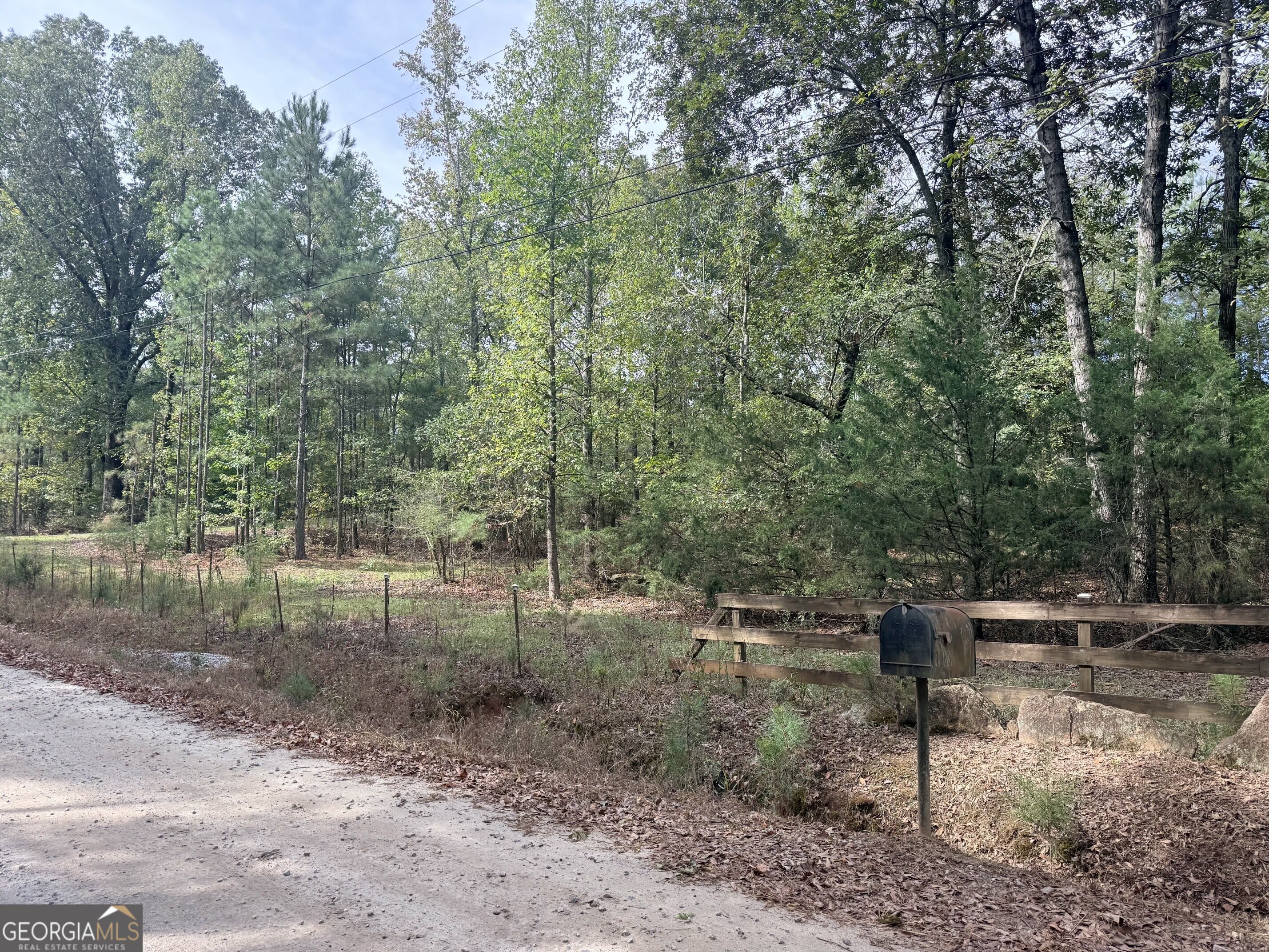 1050 Scott Branch Road Williamson GA 30292