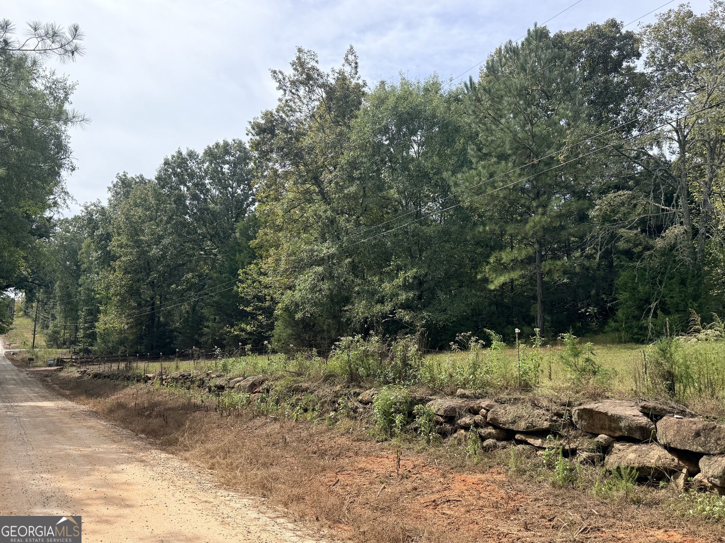 1050 Scott Branch Road Williamson GA 30292