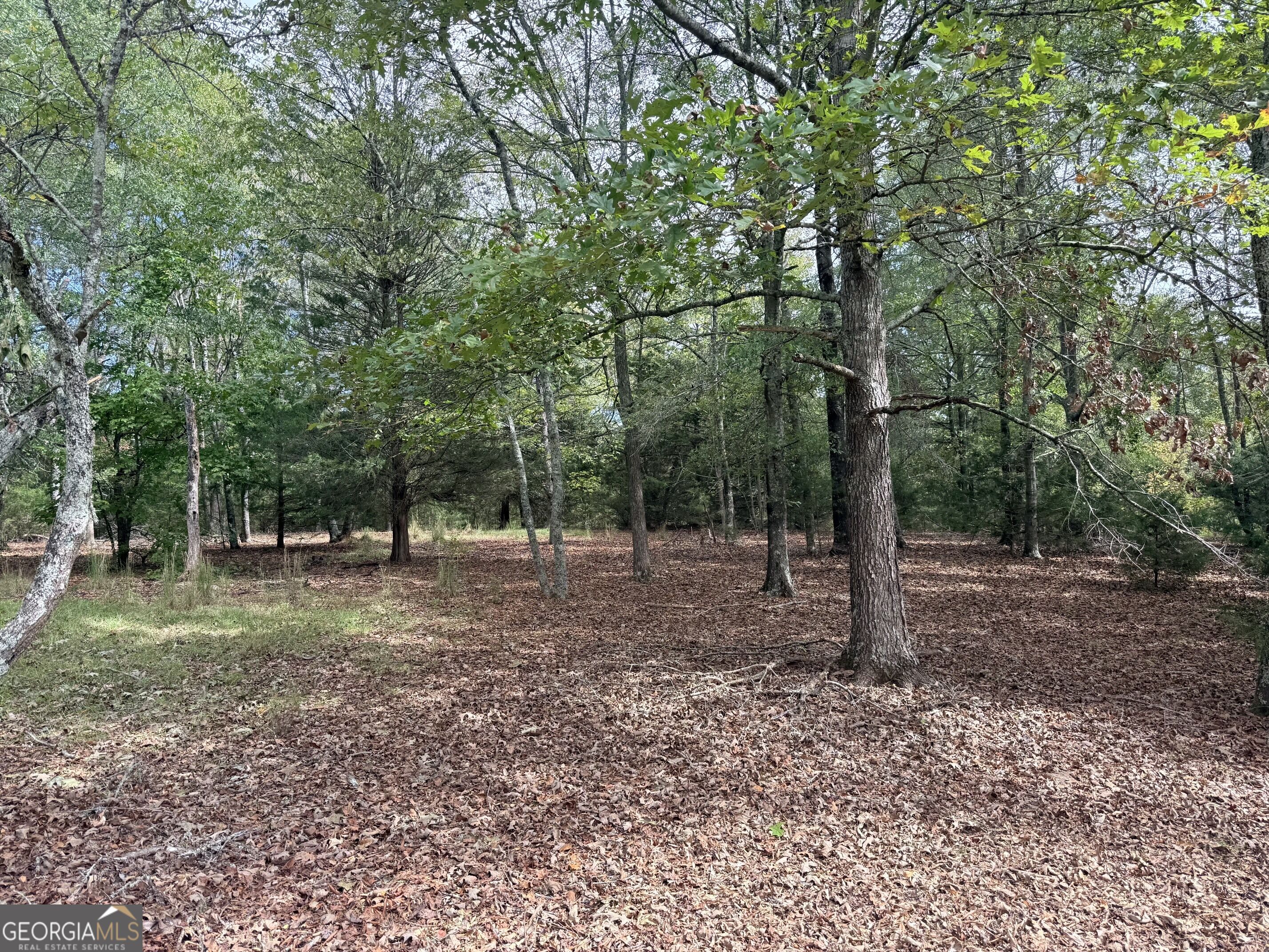 1050 Scott Branch Road Williamson GA 30292