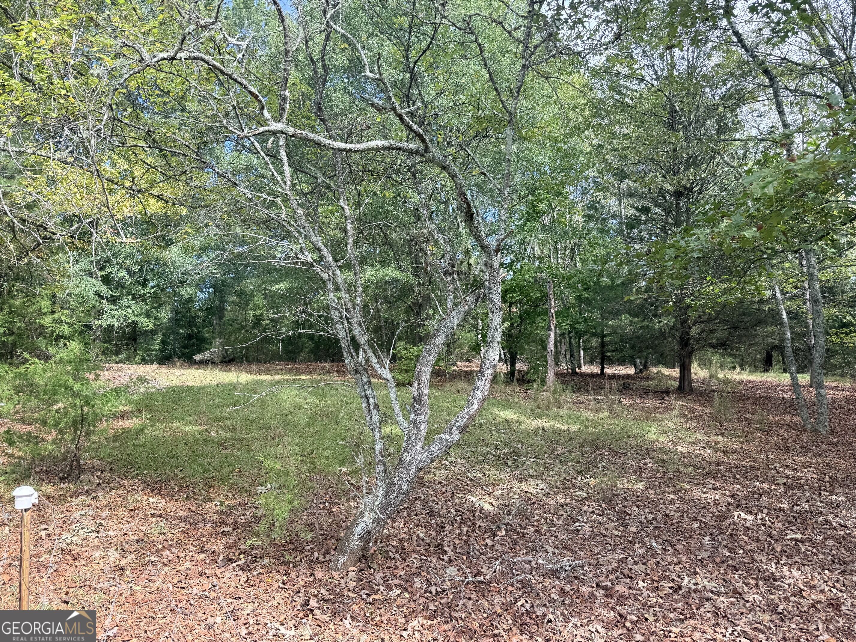 1050 Scott Branch Road Williamson GA 30292