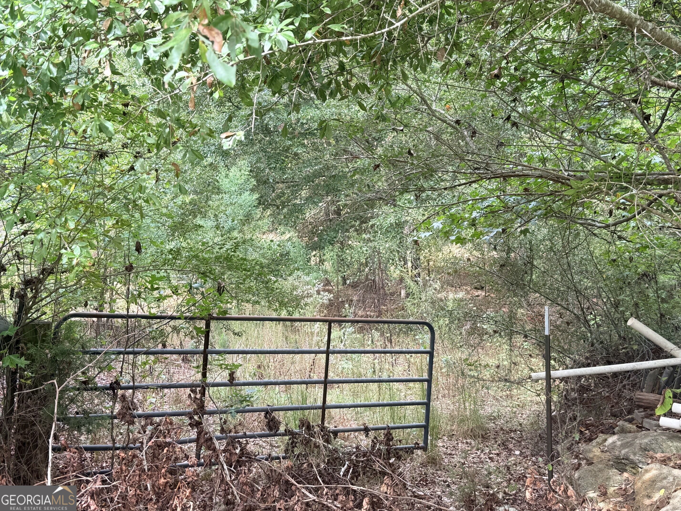 1050 Scott Branch Road Williamson GA 30292