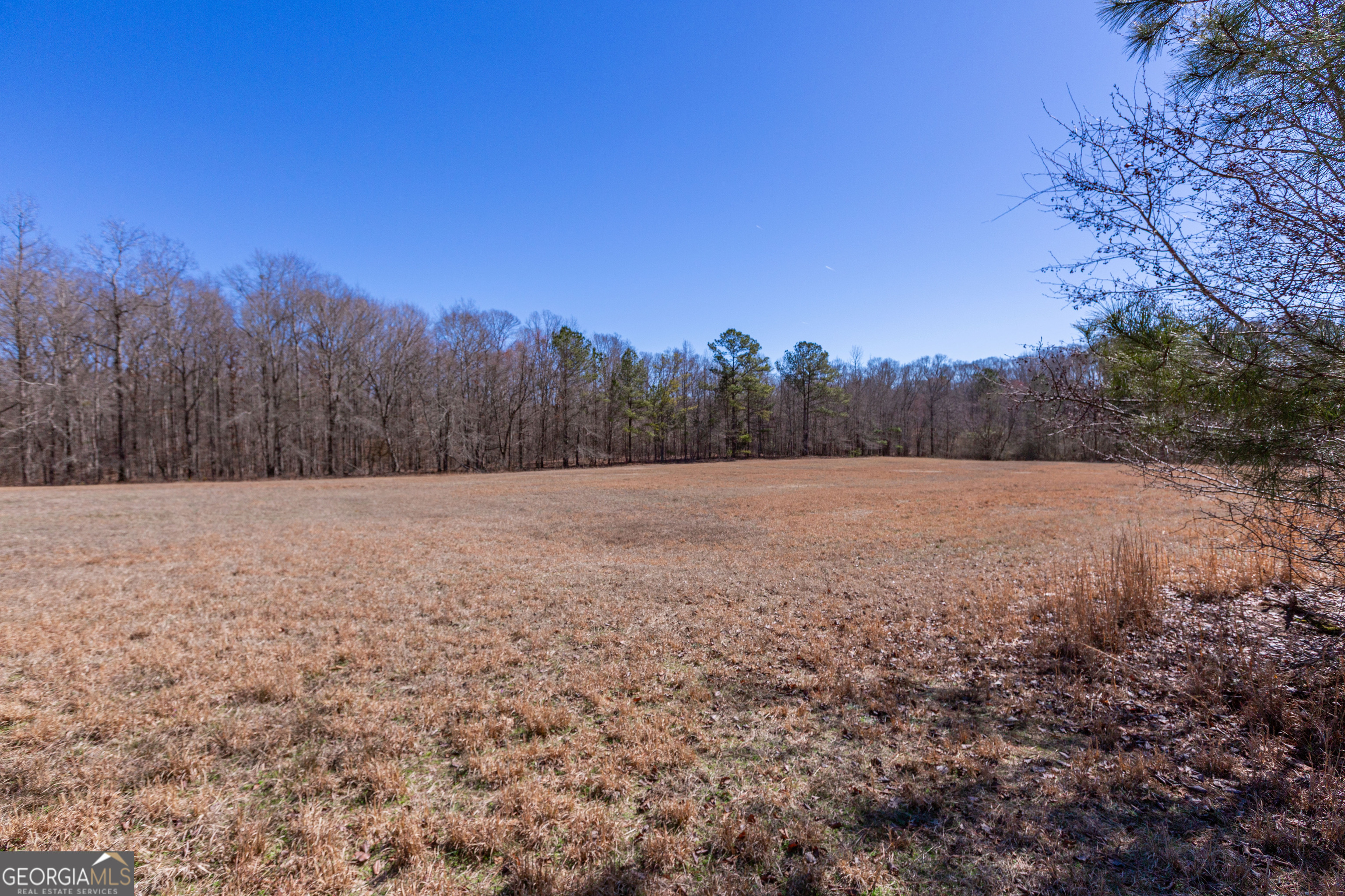 605 Rowe Road Senoia GA 30276