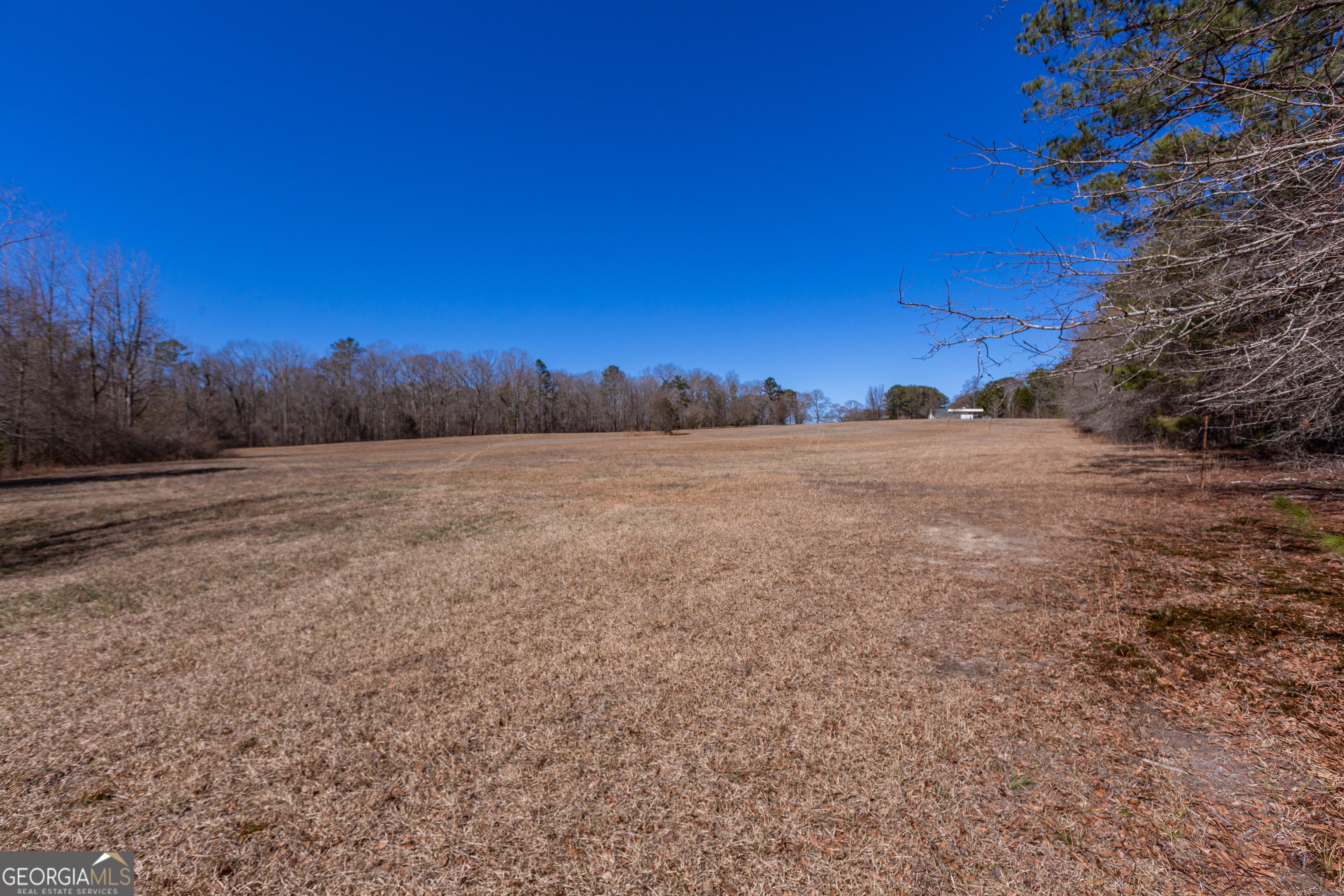 605 Rowe Road Senoia GA 30276