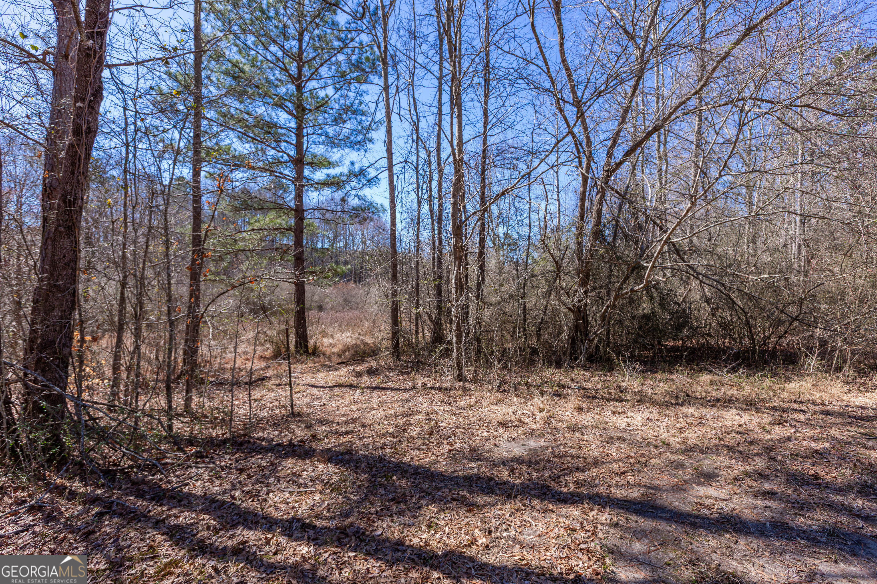 605 Rowe Road Senoia GA 30276