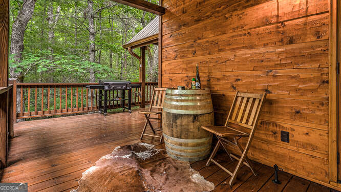 395 Mill Creek Acres Blue Ridge GA 30513