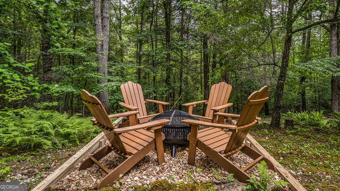 395 Mill Creek Acres Blue Ridge GA 30513