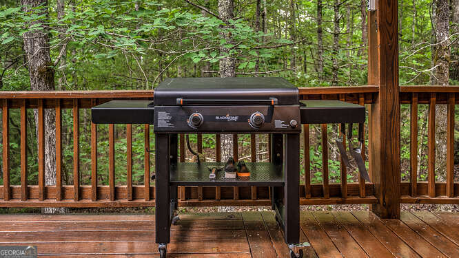 395 Mill Creek Acres Blue Ridge GA 30513