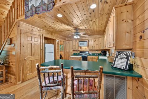 255 Blue Ridge Trail Morganton GA 30560