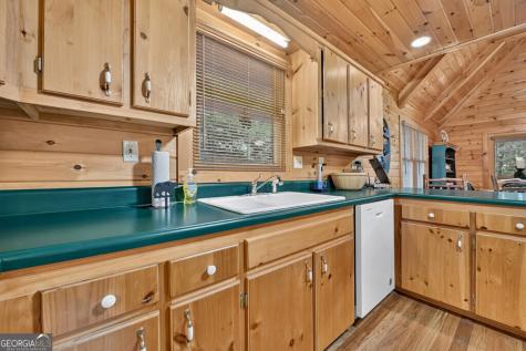 255 Blue Ridge Trail Morganton GA 30560