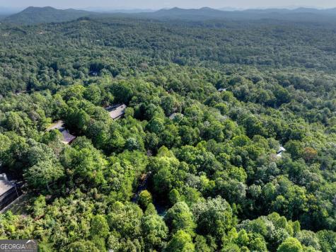 255 Blue Ridge Trail Morganton GA 30560