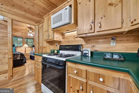 255 Blue Ridge Trail Morganton GA 30560