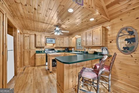 255 Blue Ridge Trail Morganton GA 30560
