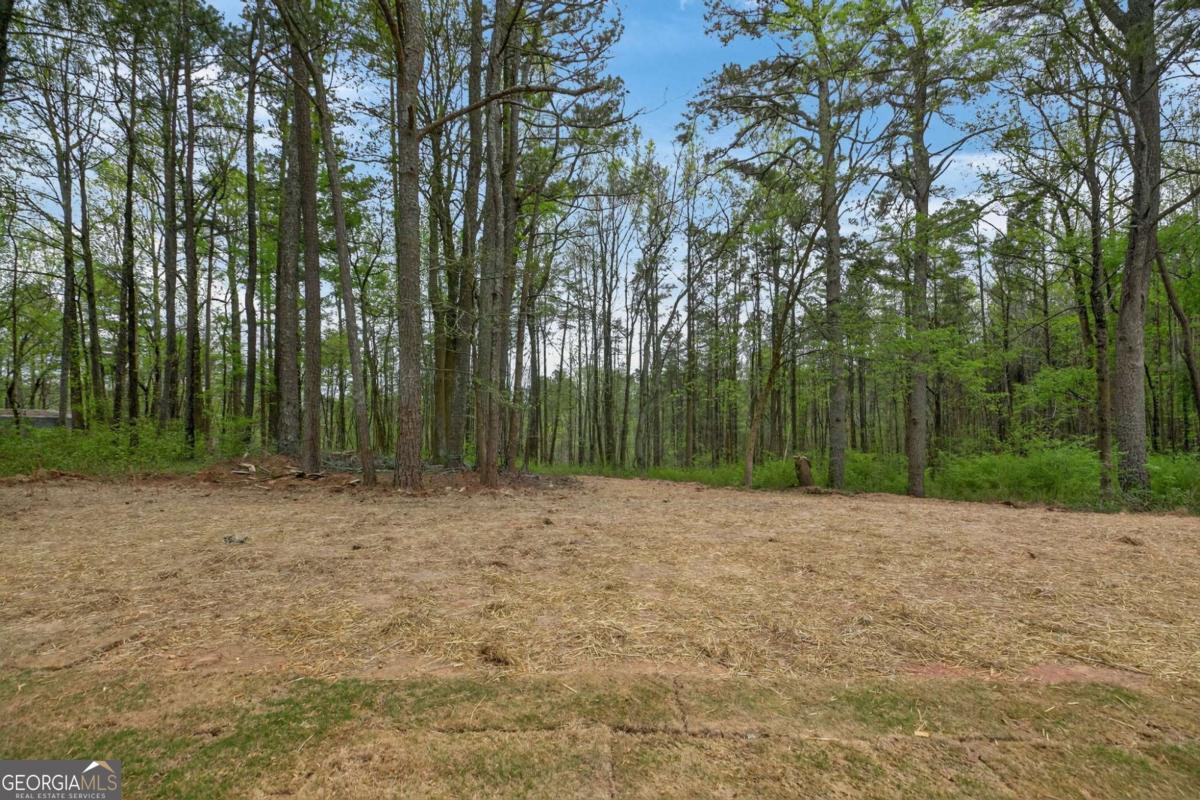 1955 Goldmine Road Dallas GA 30157