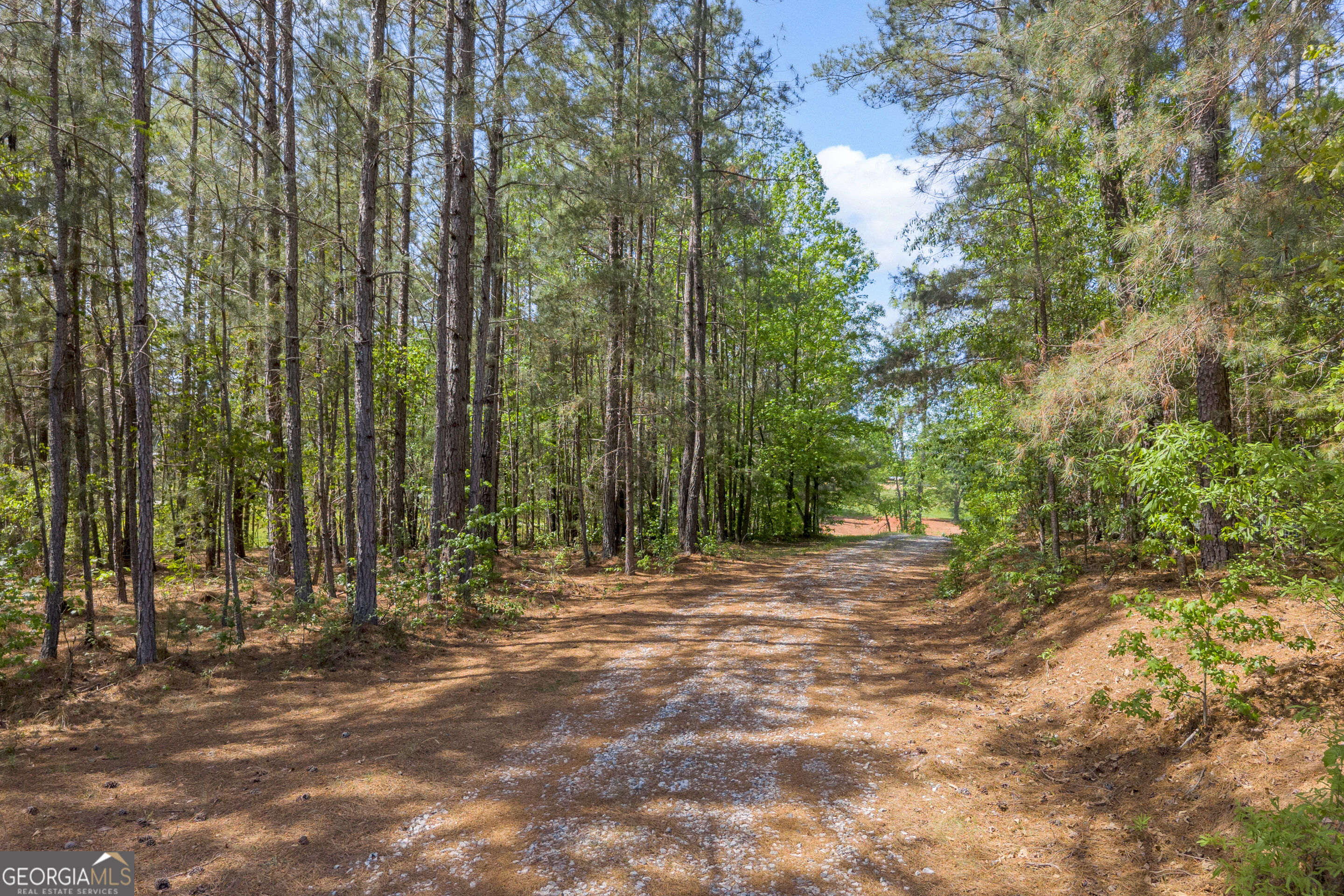 1894 Athens Road Carnesville GA 30521