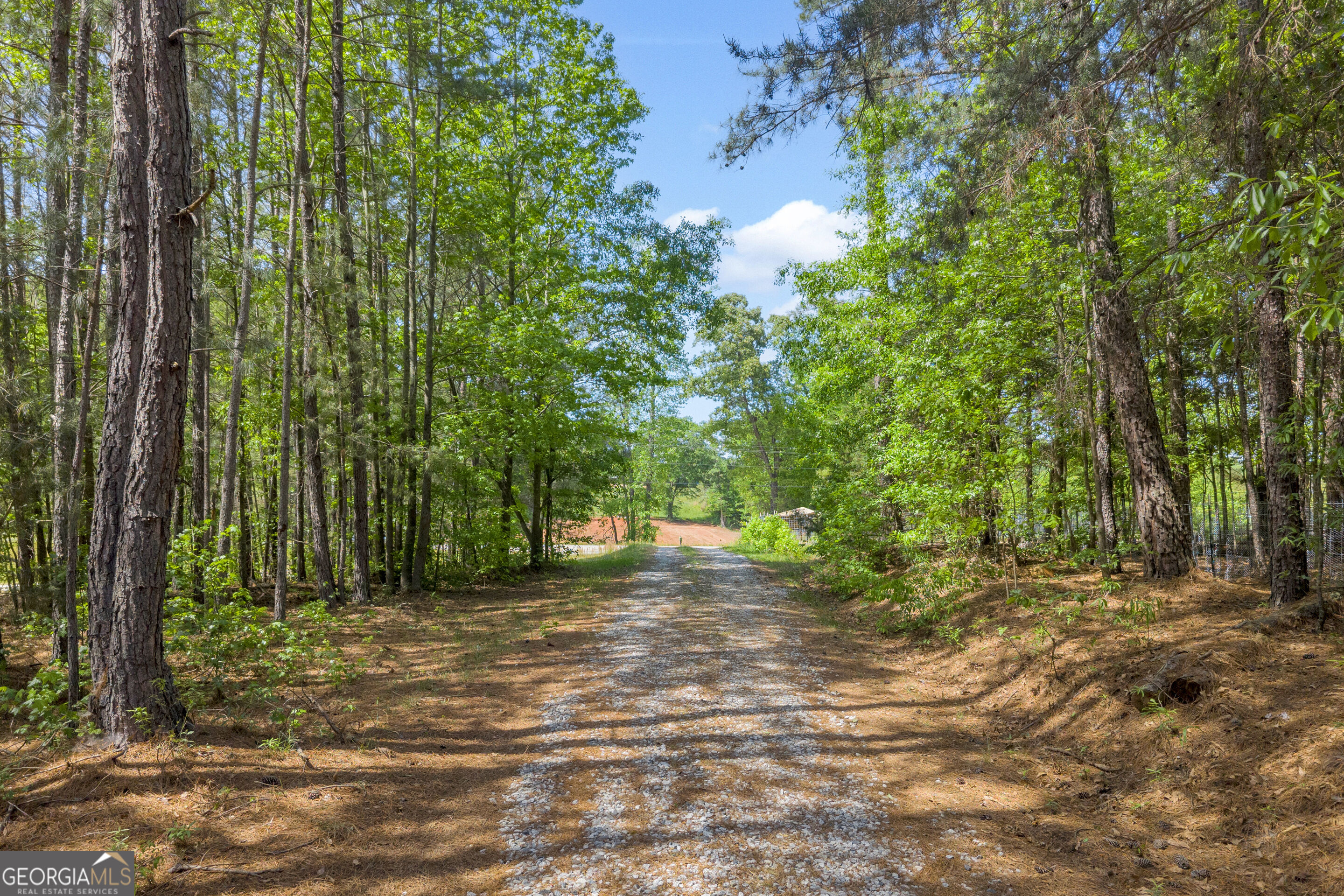 1894 Athens Road Carnesville GA 30521