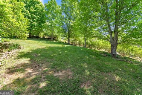 208 Clint Street Cleveland GA 30528