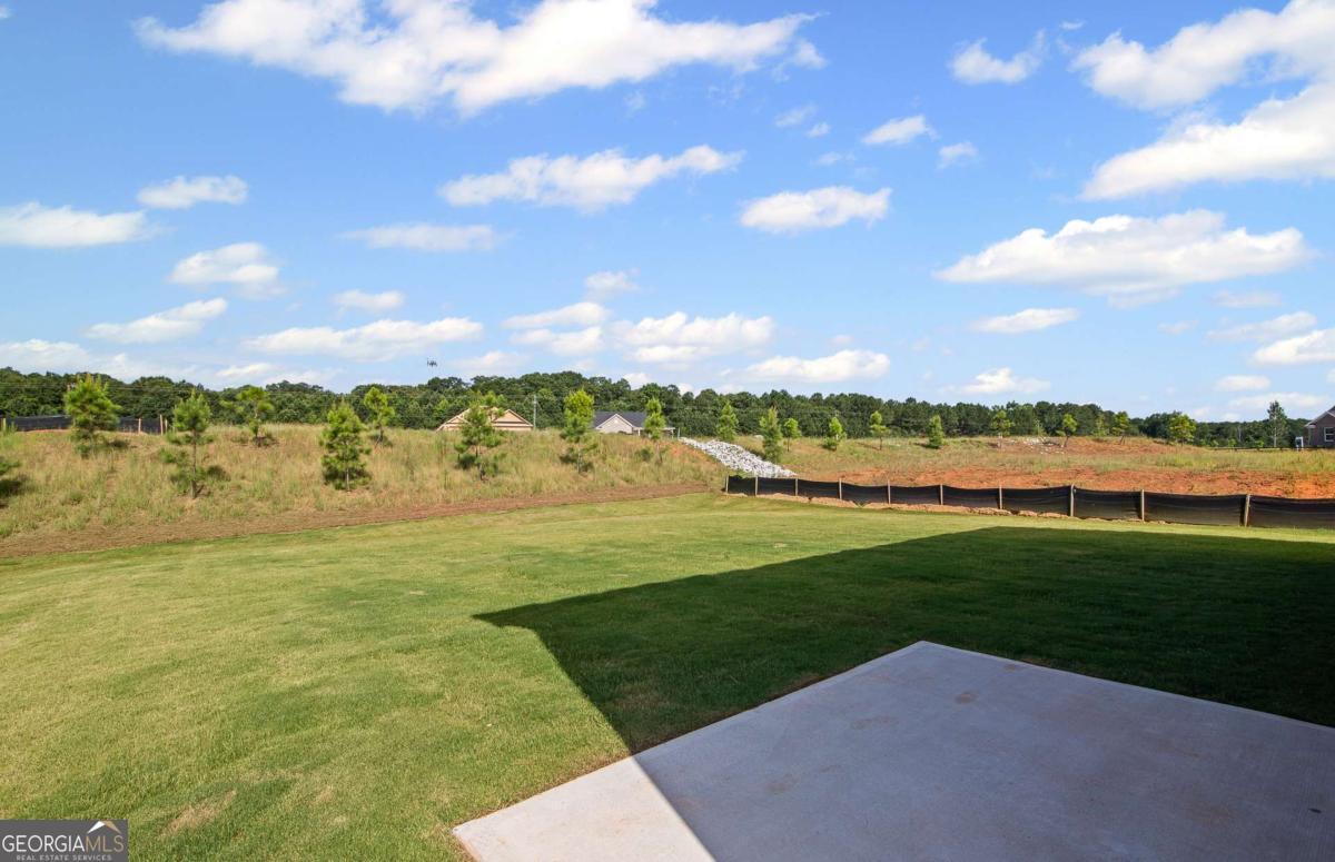 275 Nesta Grove Drive Locust Grove GA 30248