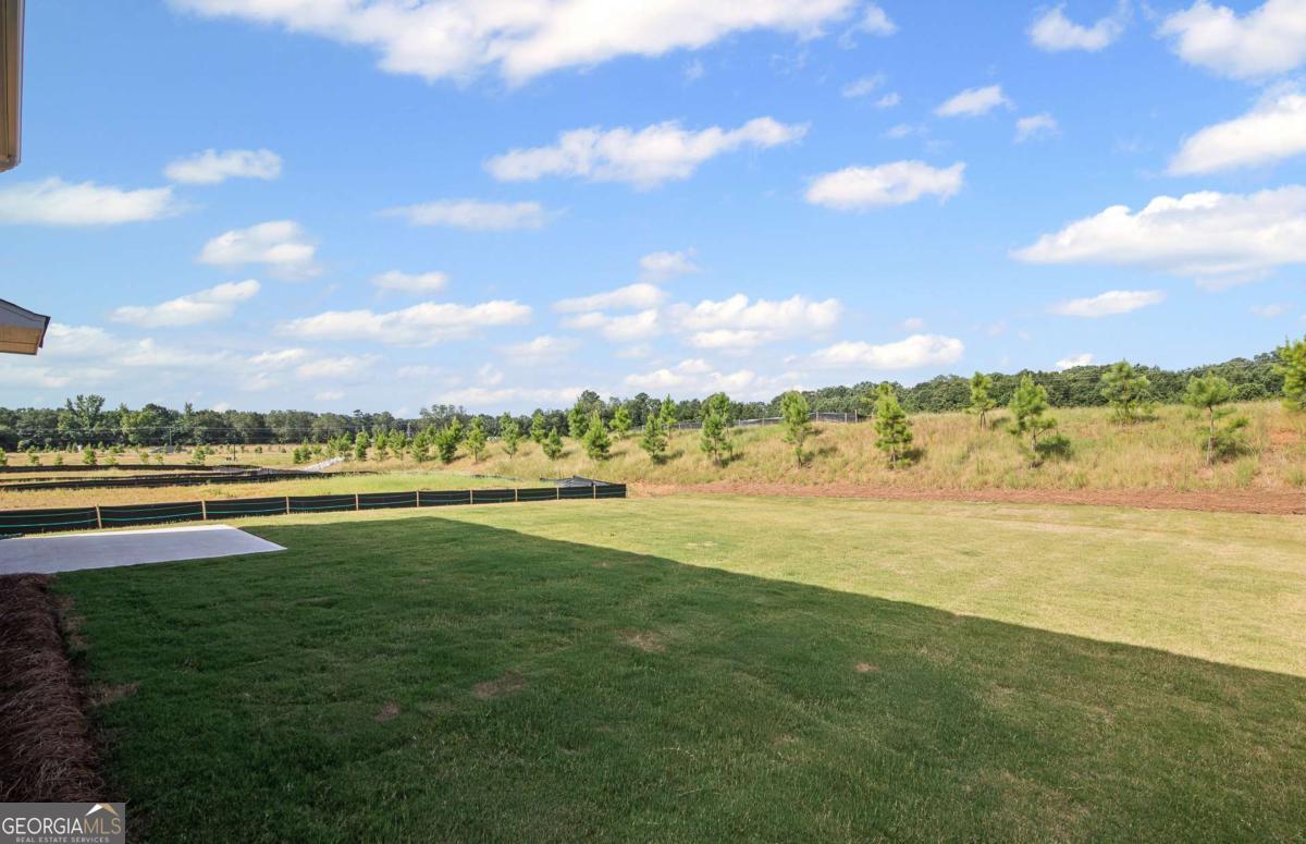 275 Nesta Grove Drive Locust Grove GA 30248