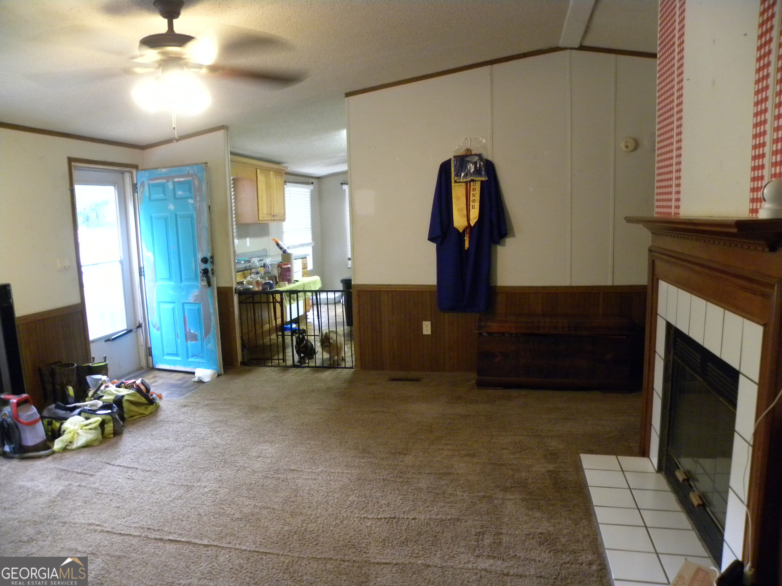 2627 Cole Road Carnesville GA 30521
