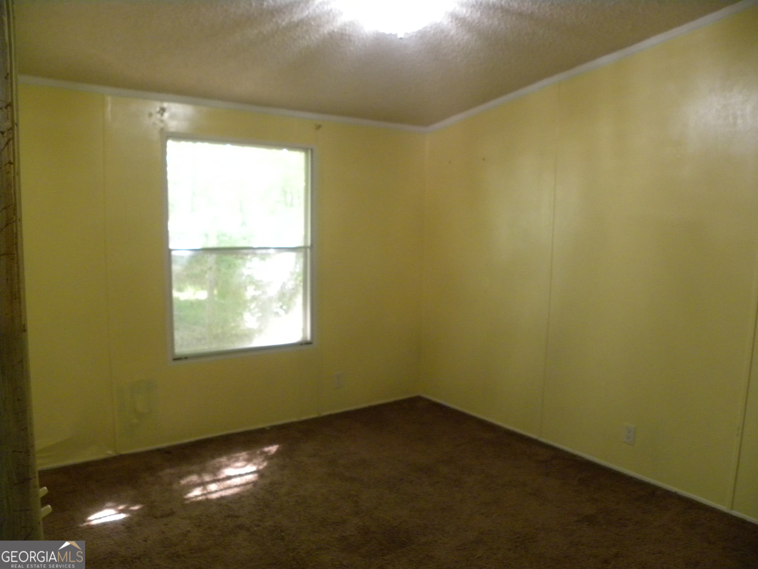 2627 Cole Road Carnesville GA 30521