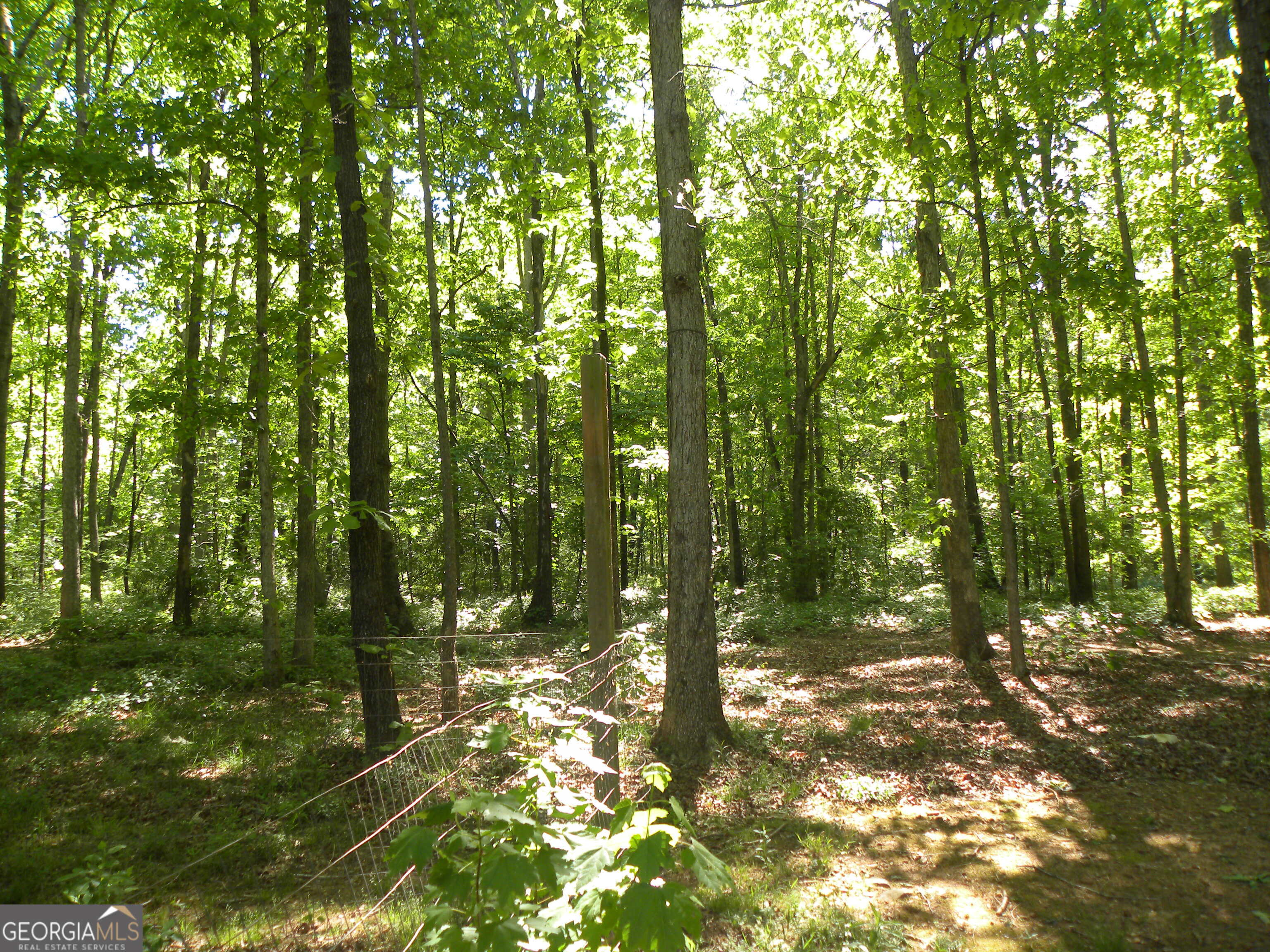 2627 Cole Road Carnesville GA 30521