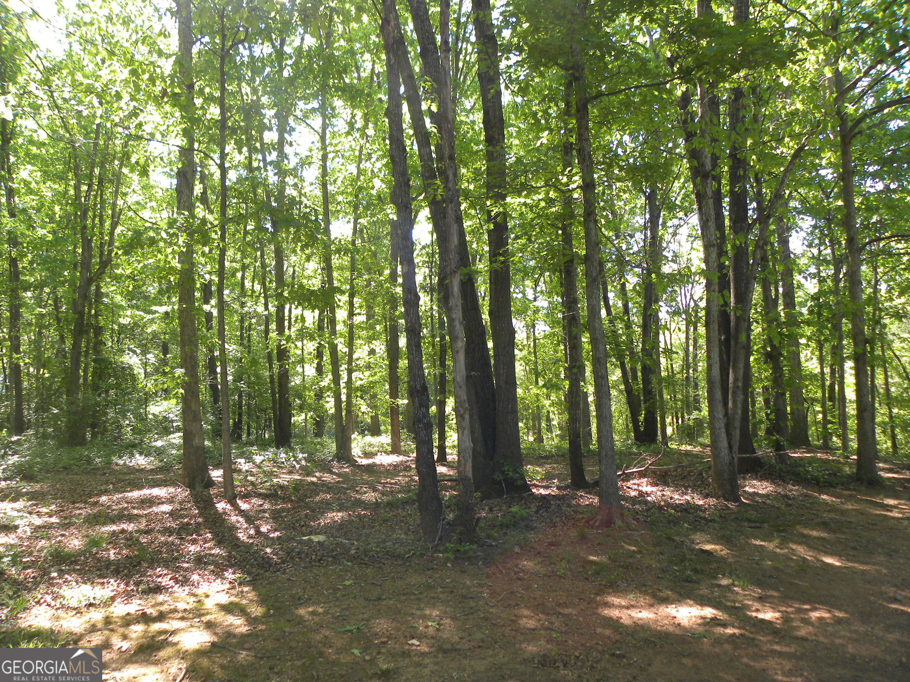 2627 Cole Road Carnesville GA 30521