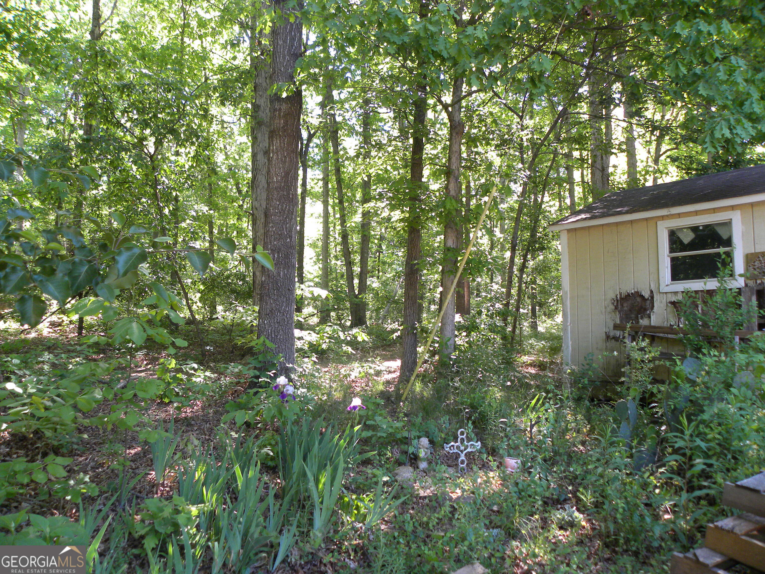 2627 Cole Road Carnesville GA 30521