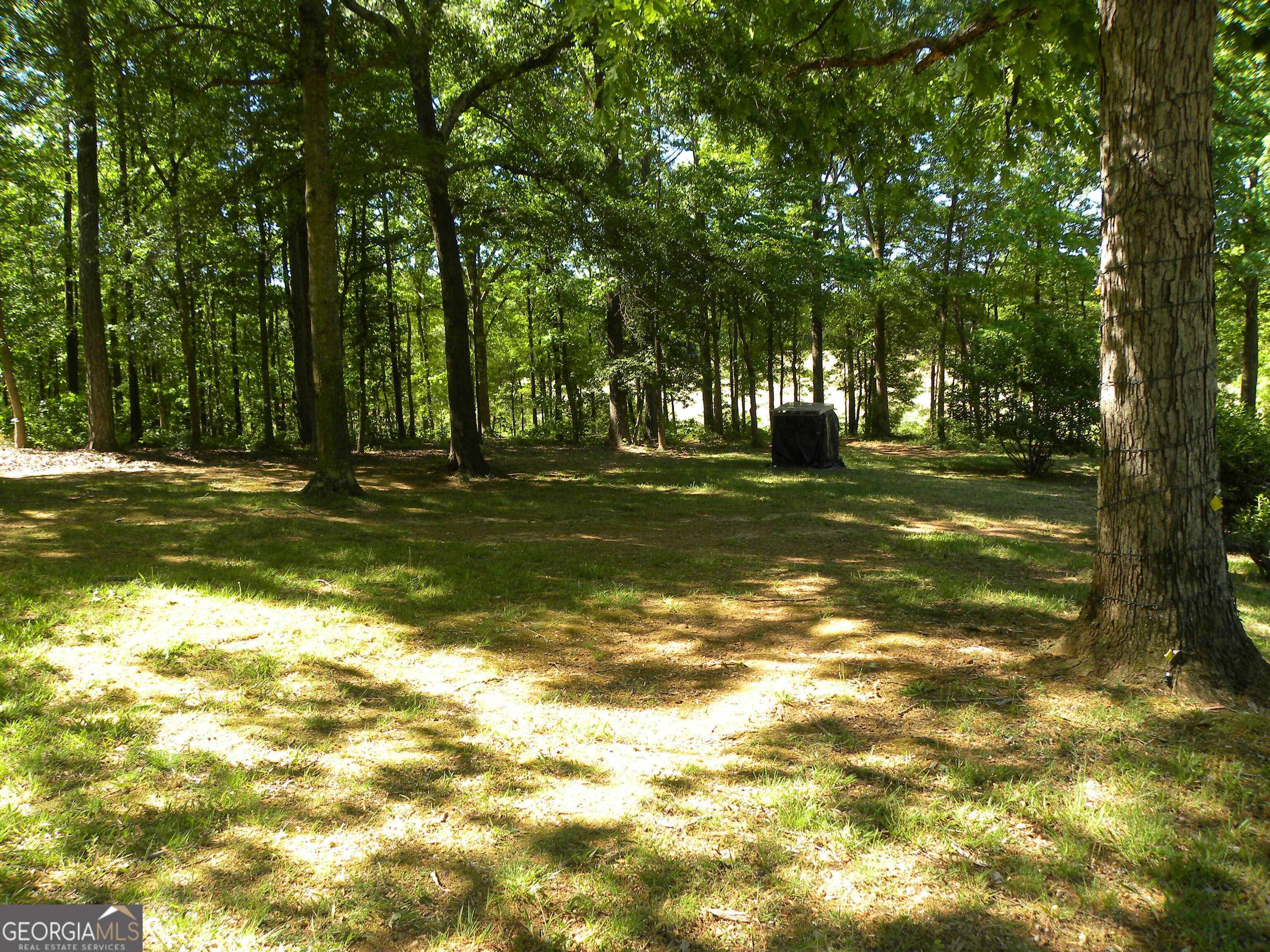 2627 Cole Road Carnesville GA 30521