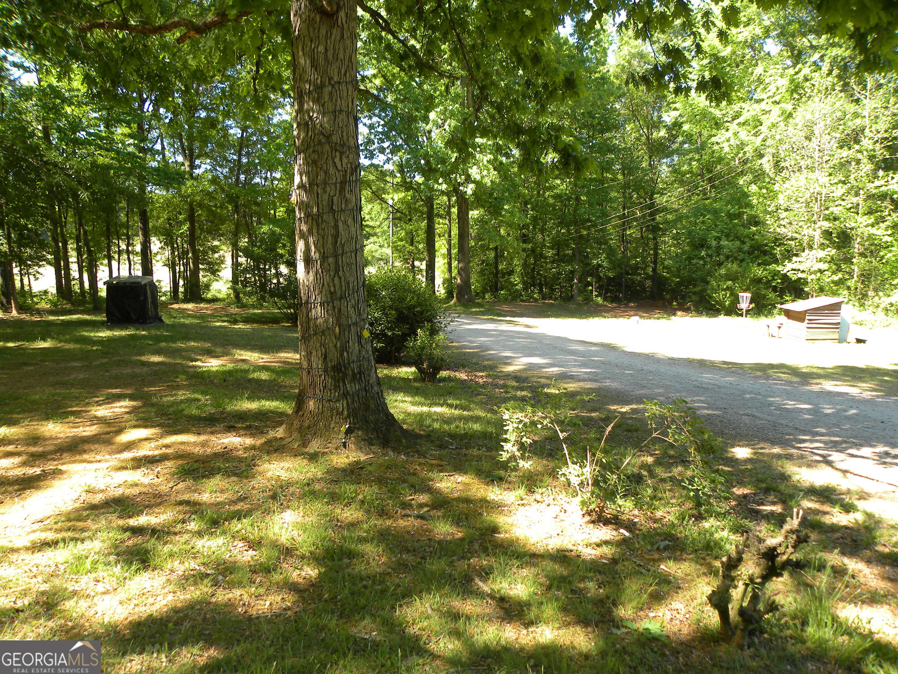 2627 Cole Road Carnesville GA 30521