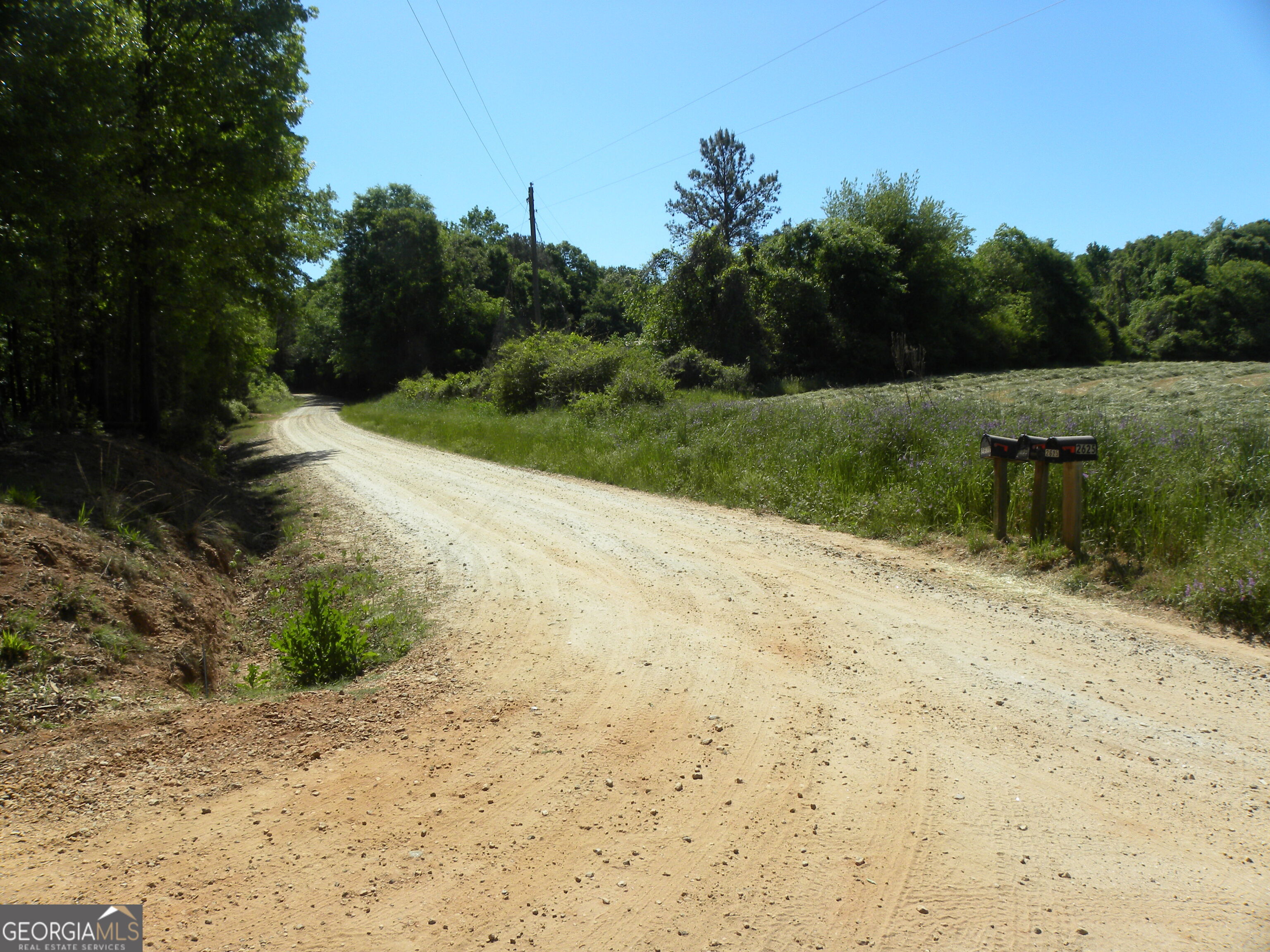 2627 Cole Road Carnesville GA 30521