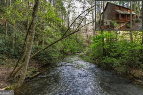 58 River Road Cherry Log GA 30522