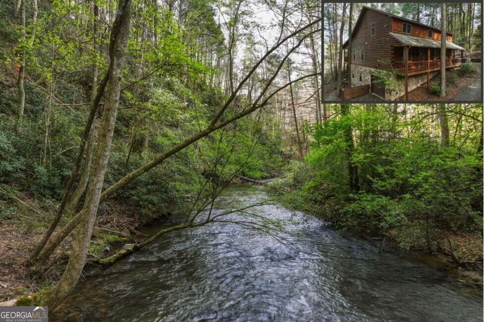 58 River Road Cherry Log GA 30522