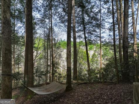 58 River Road Cherry Log GA 30522