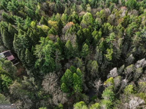 58 River Road Cherry Log GA 30522