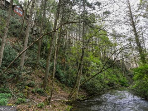 58 River Road Cherry Log GA 30522