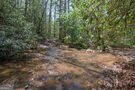 7904 Mr Bert Road Hiawassee GA 30546