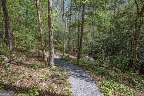 7904 Mr Bert Road Hiawassee GA 30546