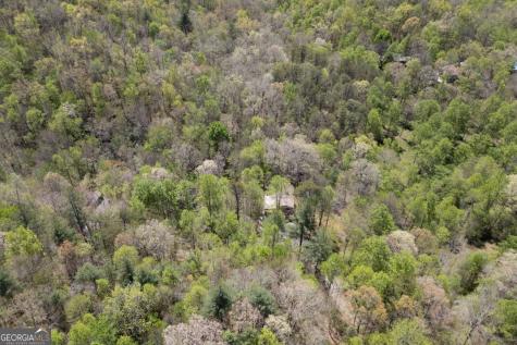 7904 Mr Bert Road Hiawassee GA 30546
