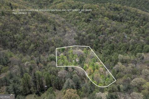7904 Mr Bert Road Hiawassee GA 30546