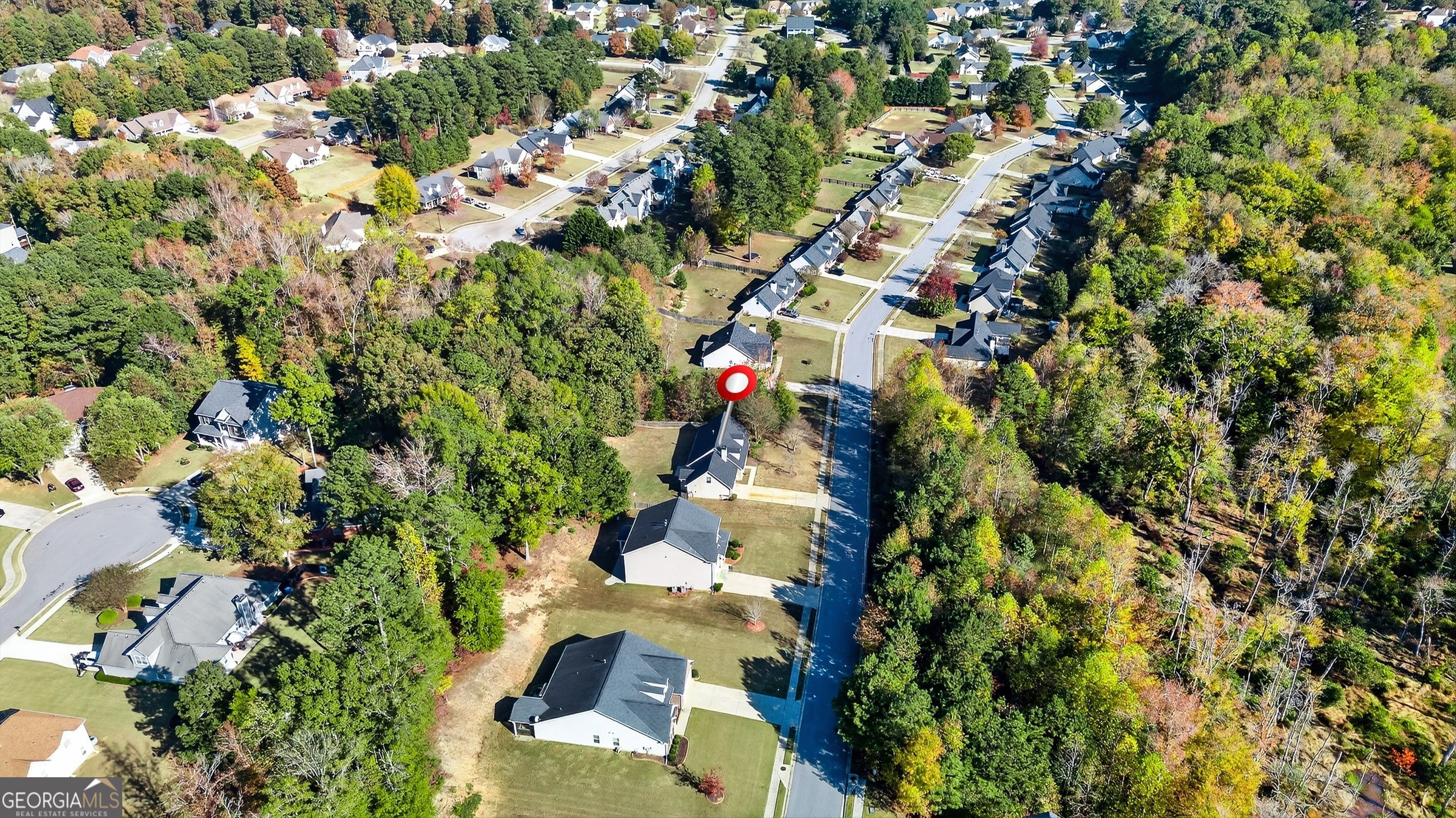 220 Windpher Ridge Hampton GA 30228