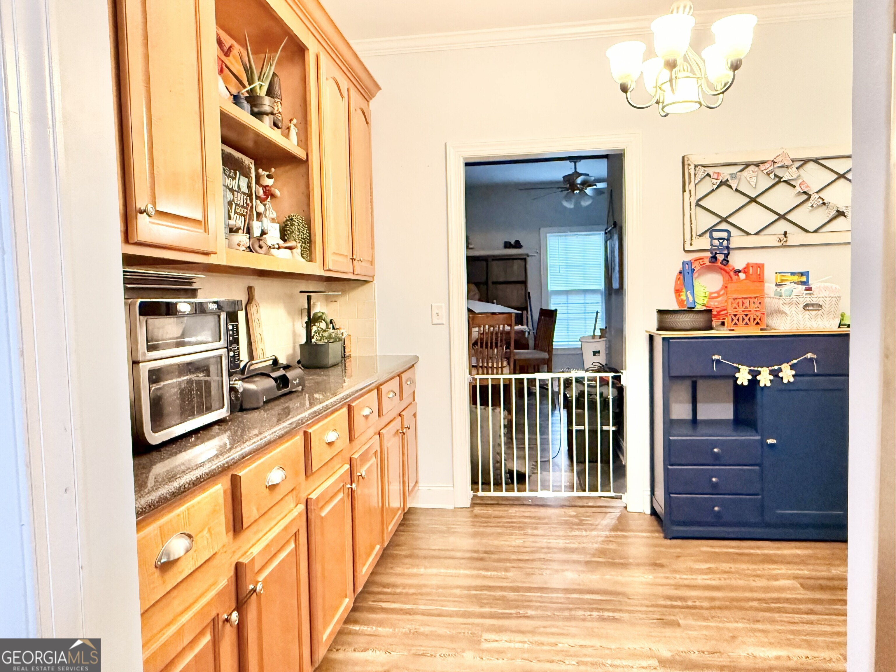 1142 Mulberry Place Dudley GA 31022