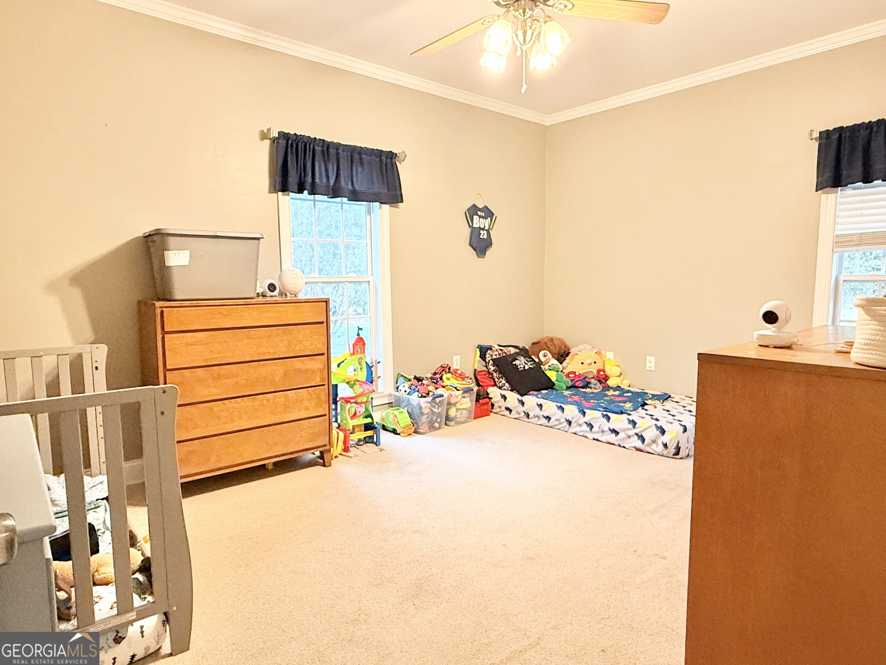 1142 Mulberry Place Dudley GA 31022