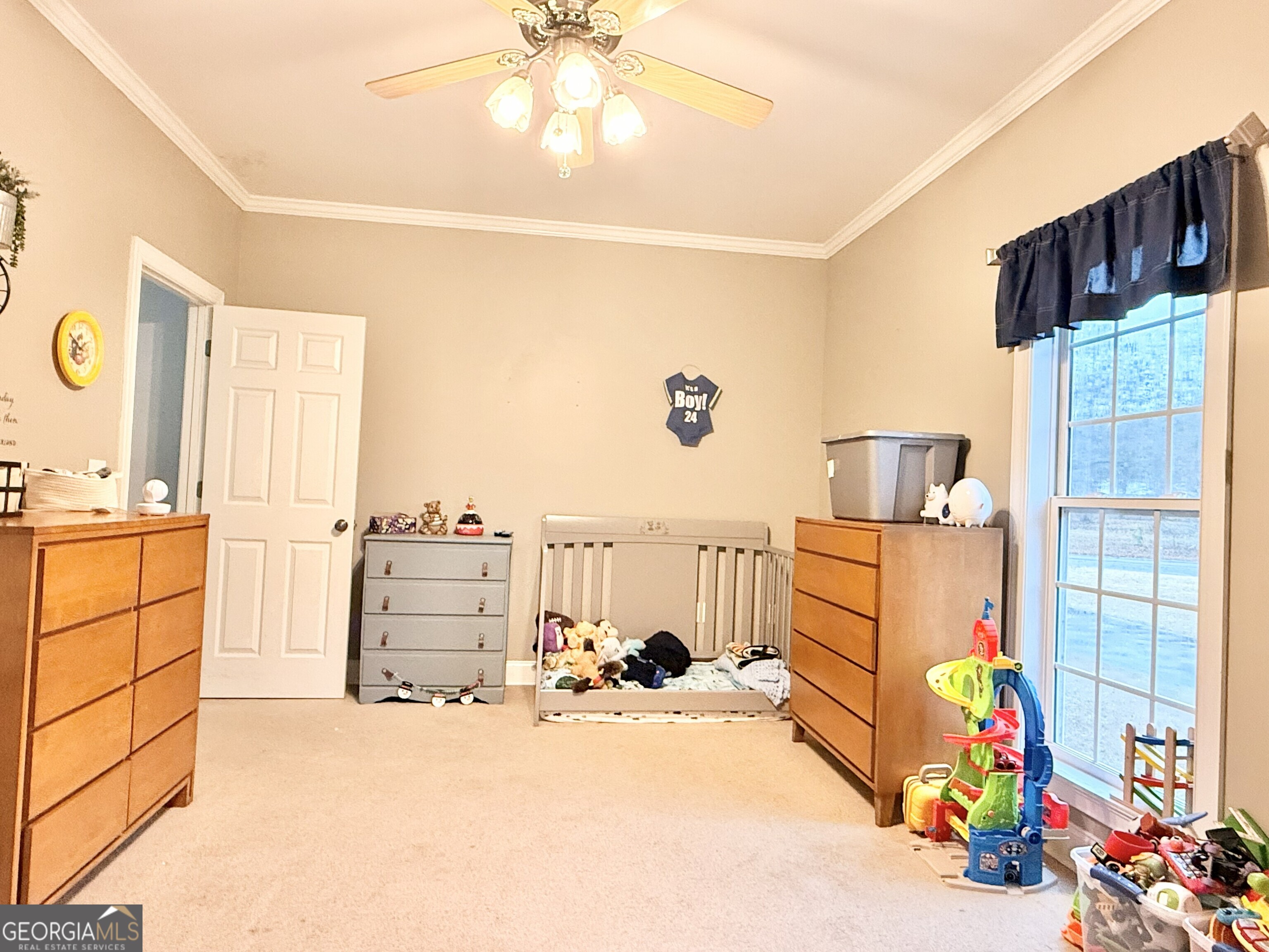 1142 Mulberry Place Dudley GA 31022