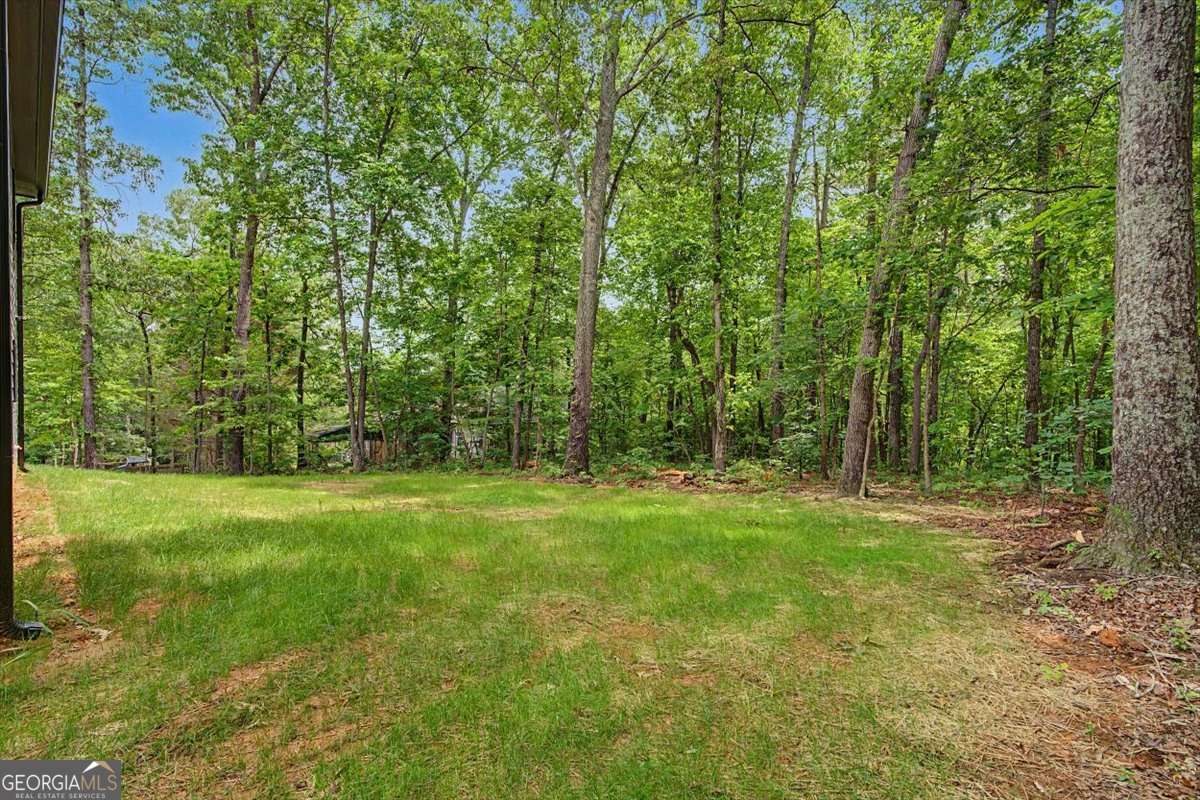 233 Old Old Alabama Road Emerson GA 30137