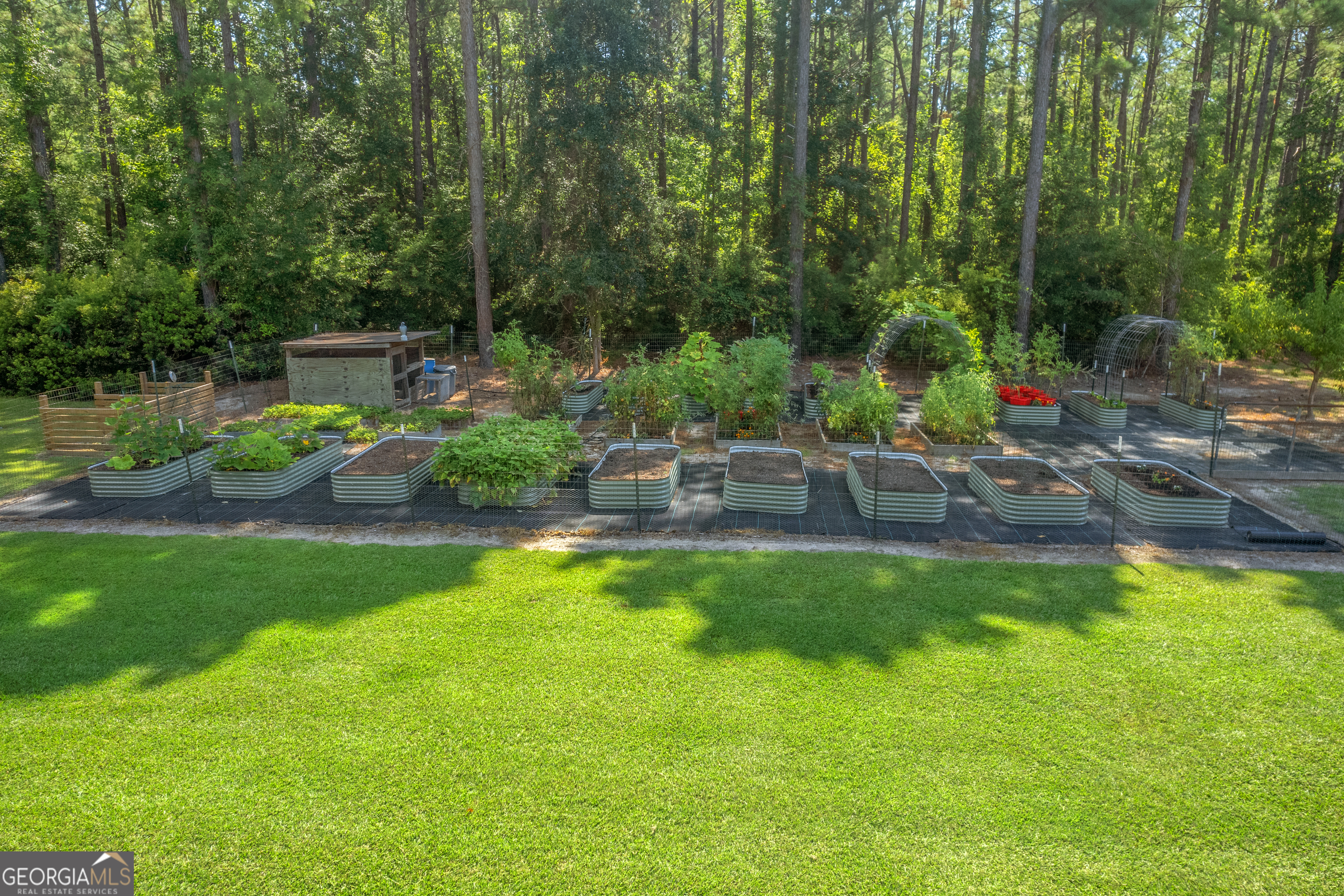 1269 Tarver Road Davisboro GA 31018
