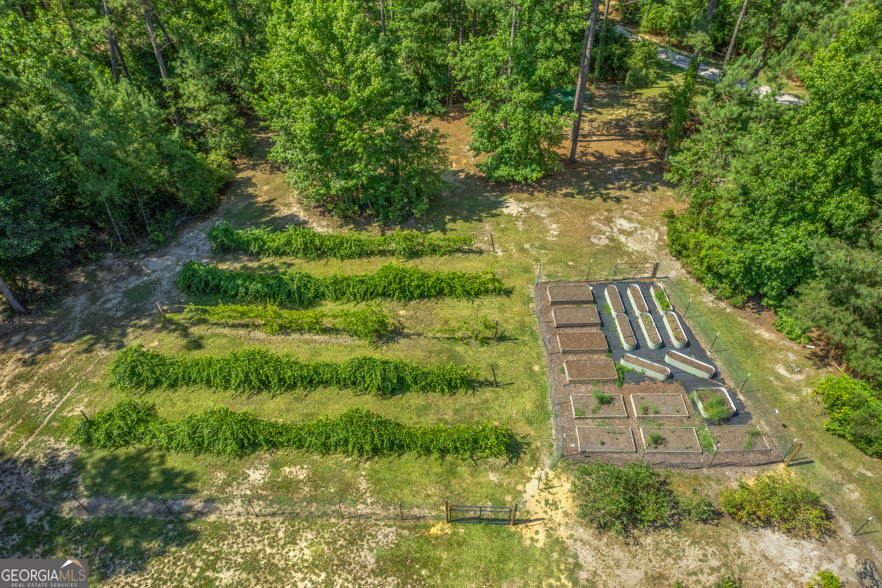 1269 Tarver Road Davisboro GA 31018